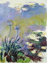 Die Agapanthus, 1914-17
